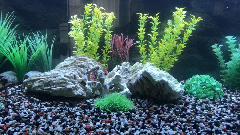 how-much-gravel-do-i-need-for-an-aquarium-a-guide-to-choosing-the