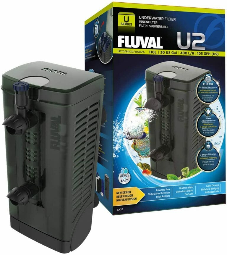 How to Choose The Best Position For an Internal Aquarium Filter?