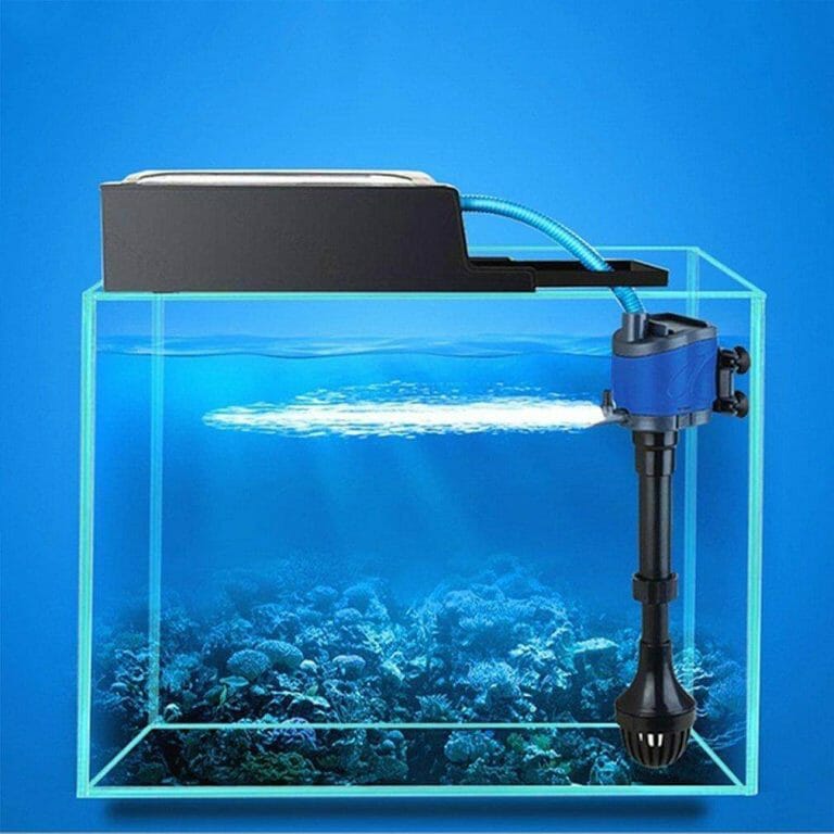 Do I need Air Pump For Aquarium? HomeTanks