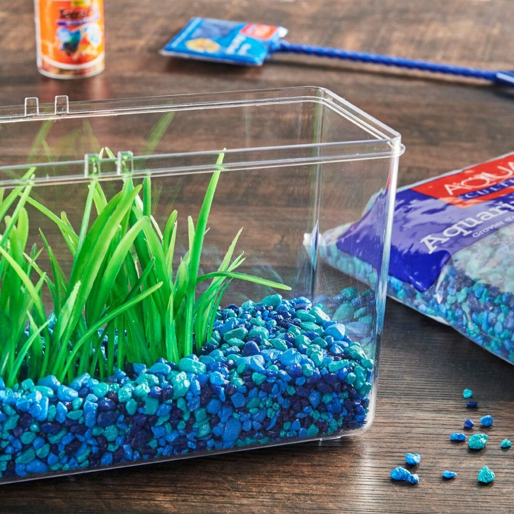 How to Change Aquarium Gravel StepbyStep Guide HomeTanks