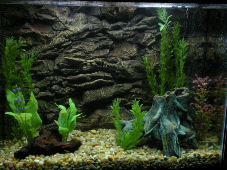 How to Apply Vinyl Aquarium Background: Step by Step