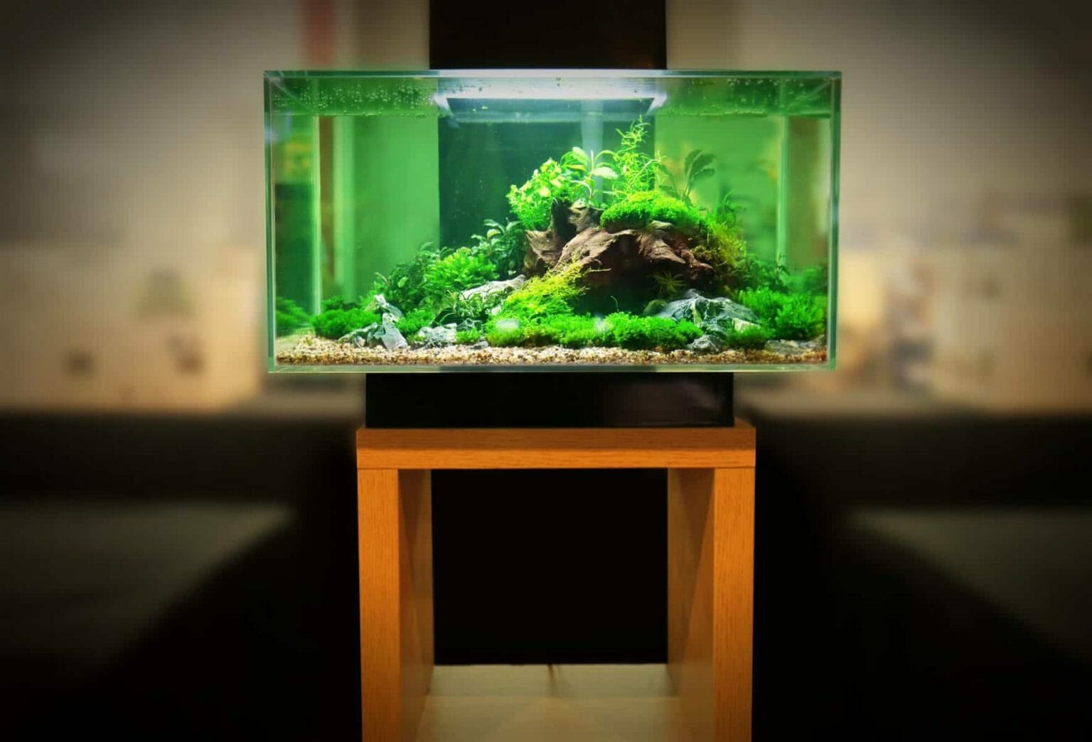 How to Build an Aquarium Stand StepbyStep Process HomeTanks