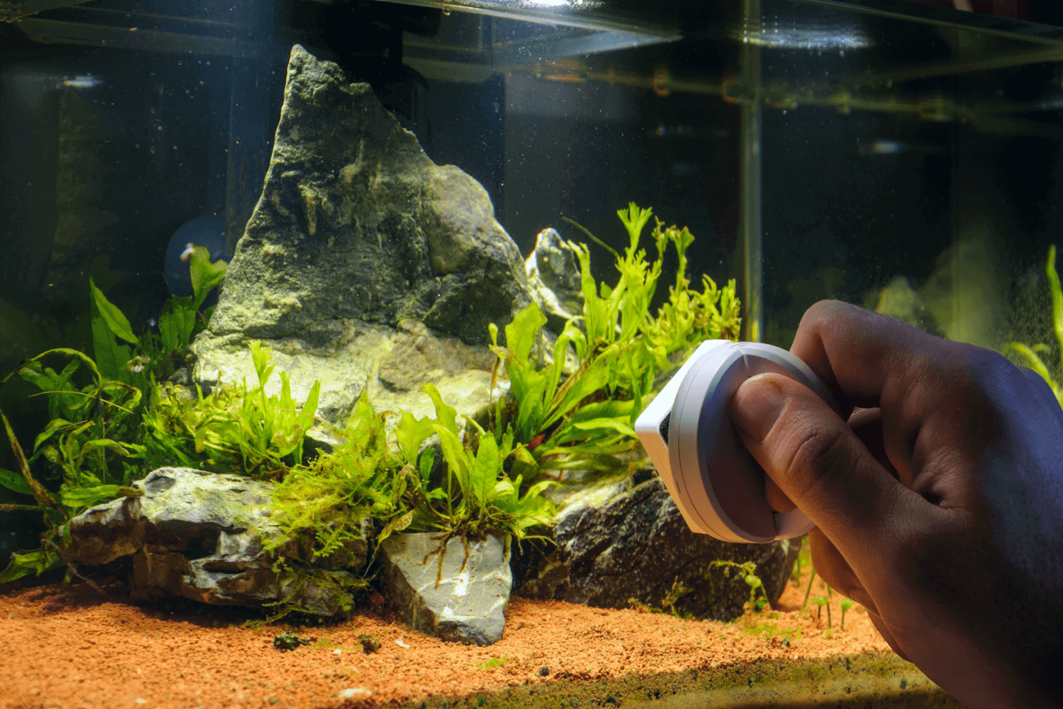 How Often Do Aquariums Leak? Causes, Solutions & Prevention! HomeTanks