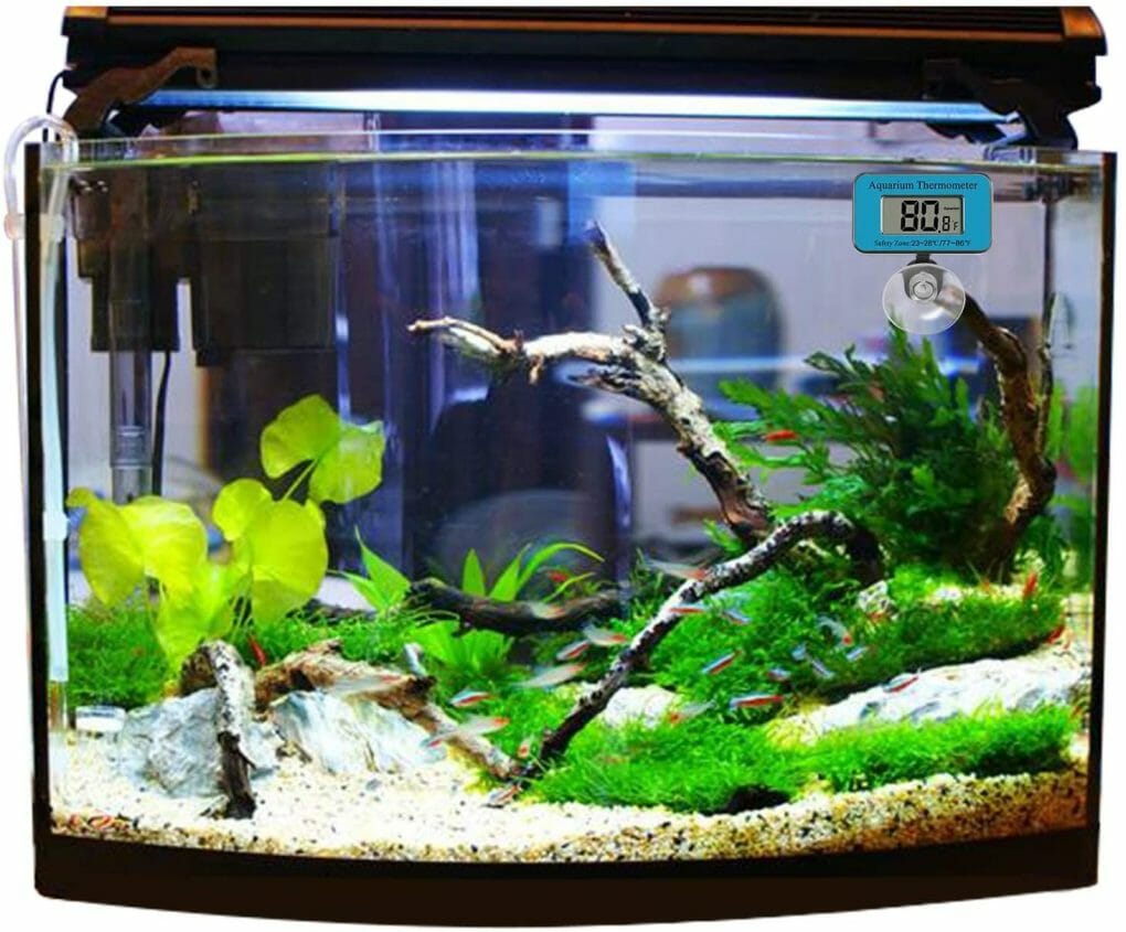 How To Read Aquarium Thermometer Hometanks