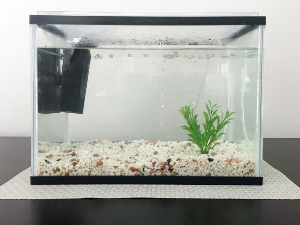 Why Are Aquariums So Expensive: Prices and Factors