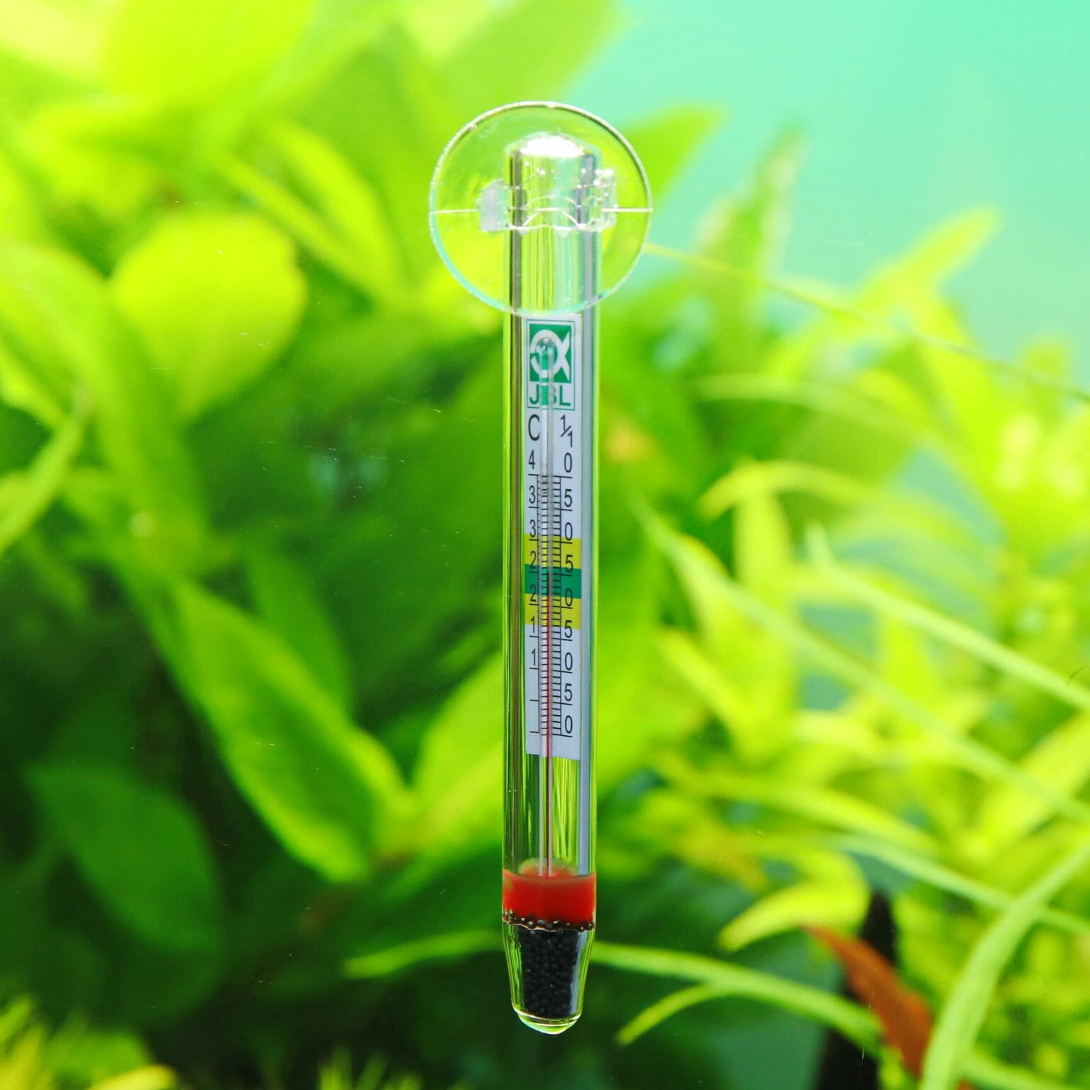How to Read Aquarium Thermometer