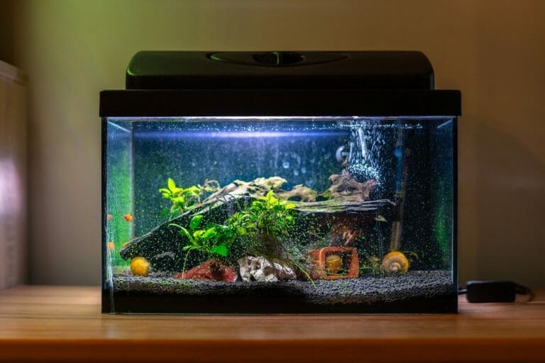 How to Prevent Aquarium Sump Overflows