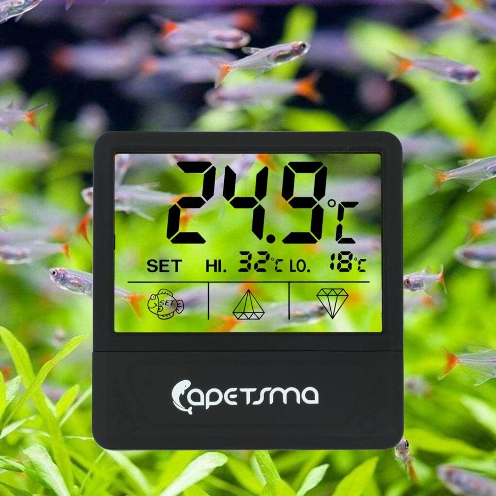 How to Read Aquarium Thermometer