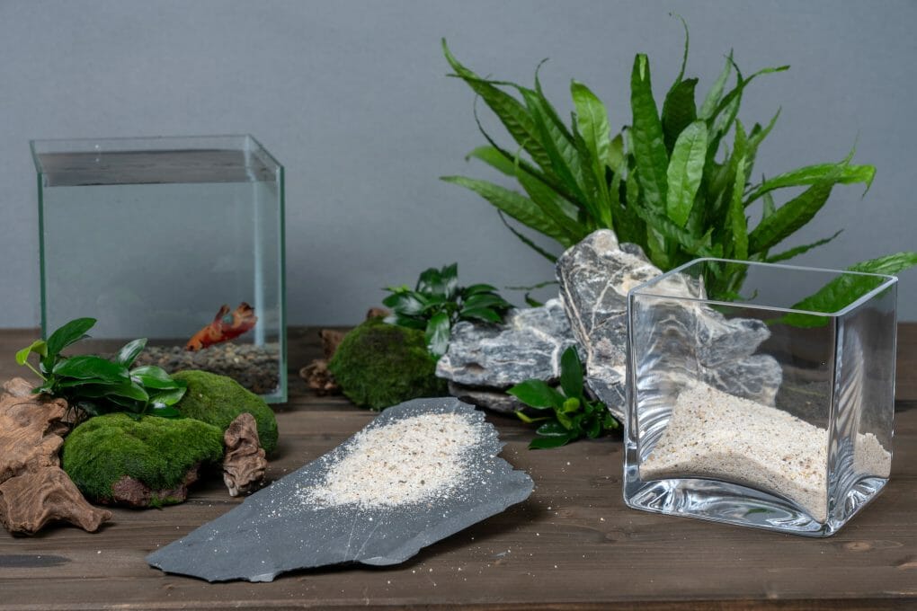 How to Prepare Sand for Aquarium StepbyStep Process HomeTanks