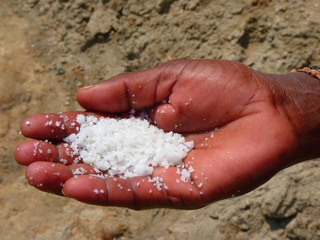 Aquarium Salt vs. Sea Salt: Differences and Benefits - HomeTanks