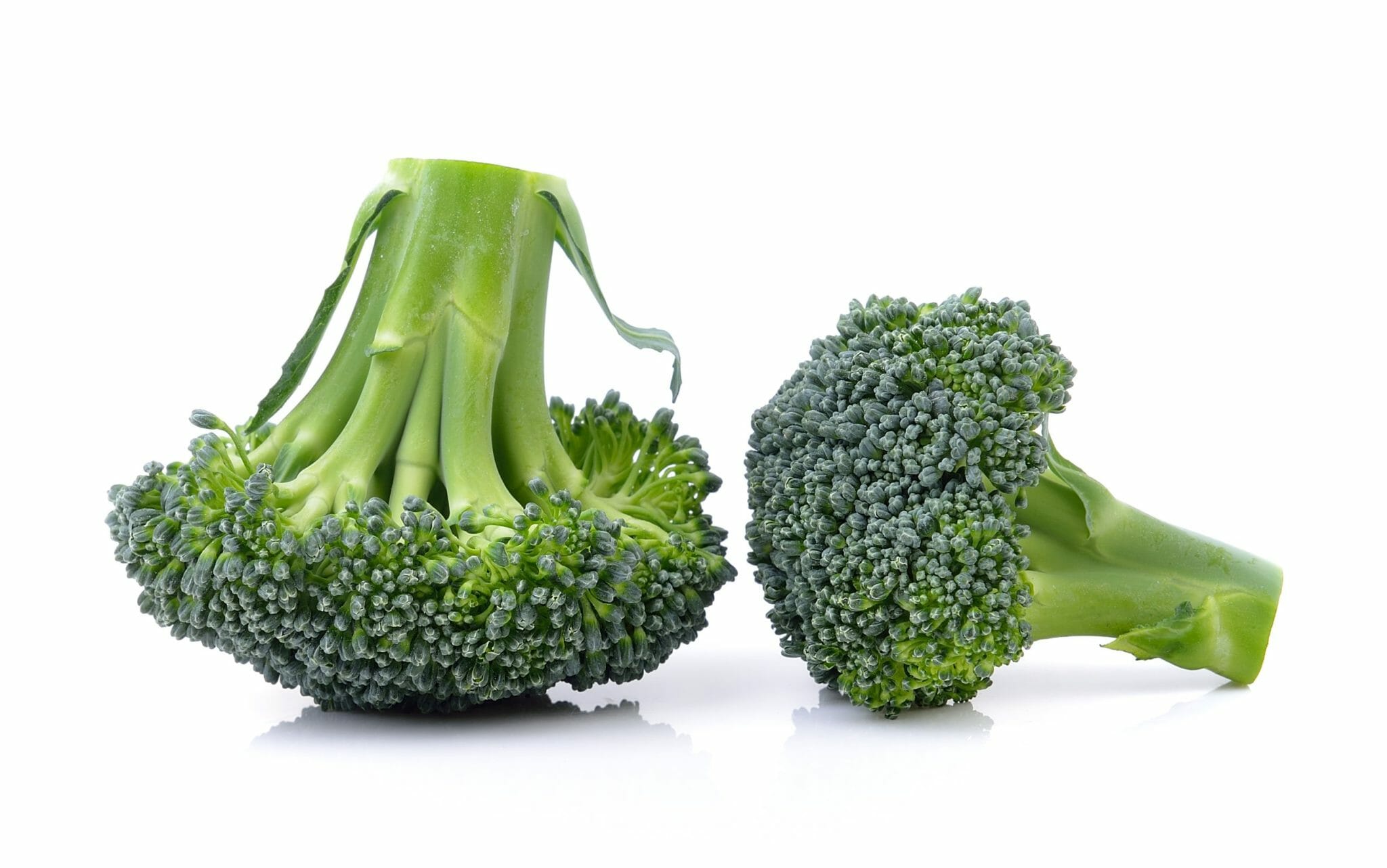 Can RedEared Sliders Eat Broccoli A Guide to Safely Feeding