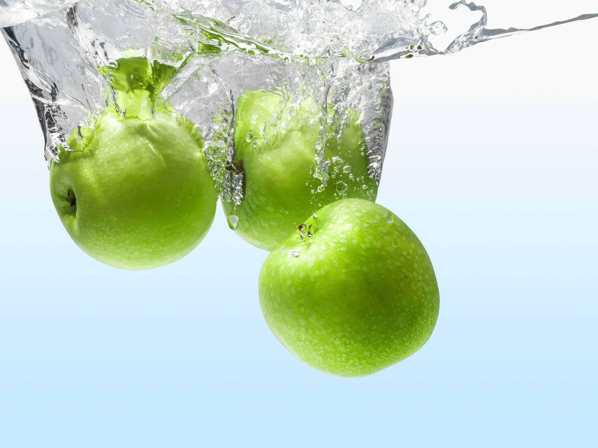 What Do Freshwater Snails Eat Foods That Are Safe for Your Snails HomeTanks