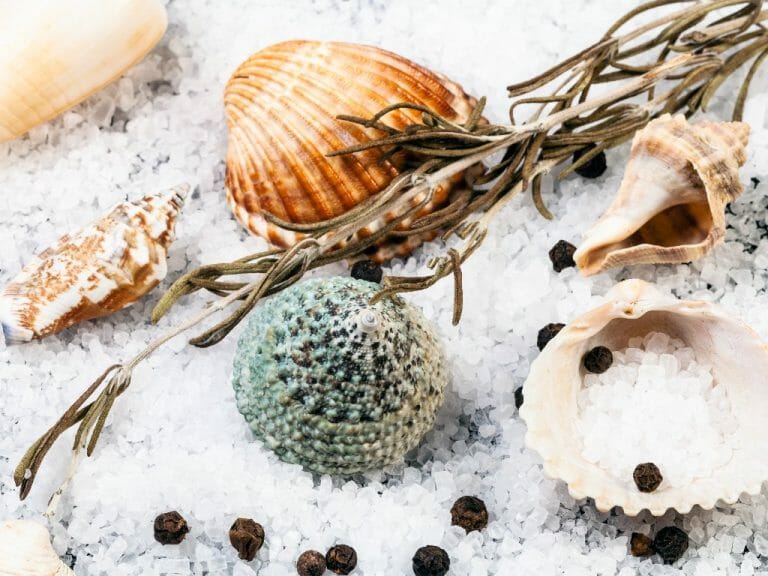 What Is Aquarium Salt: Everything You Need to Know About Aquarium Salt