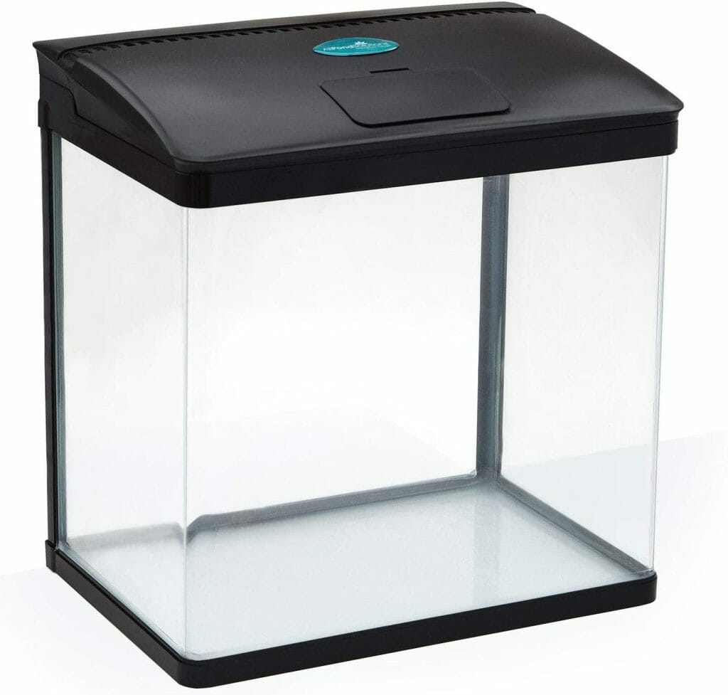 10Gallon Aquarium Ideas Tips to Make Your Fish Tank More Appealing