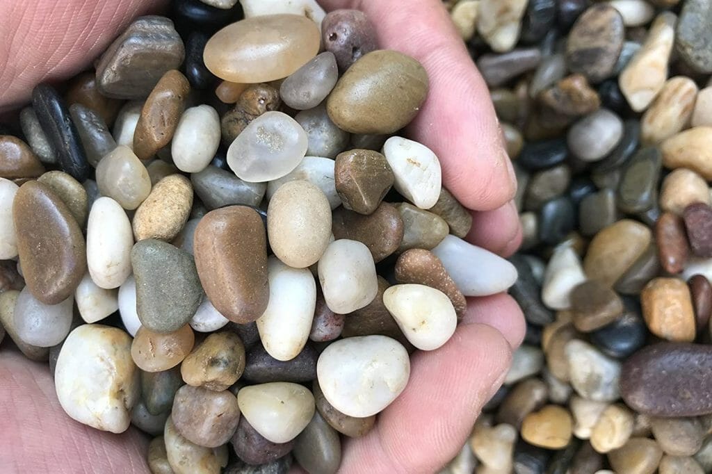 Black Gravel Aquarium Ideas Different Gravels to Enhance Your Aquarium