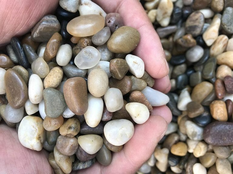 Black Gravel Aquarium Ideas: Different Gravels to Enhance Your Aquarium