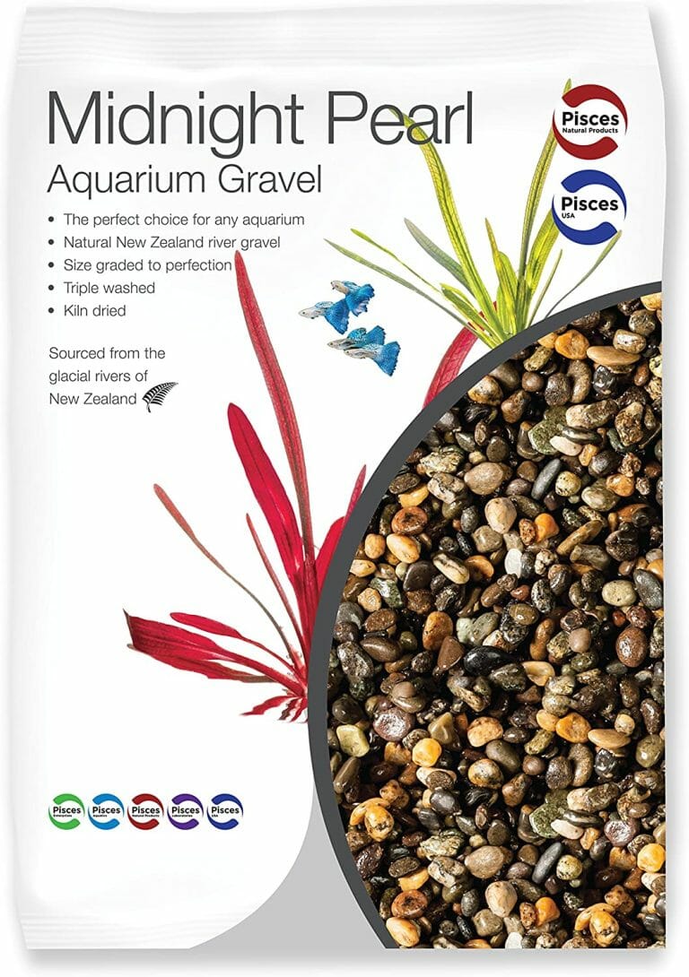 Black Gravel Aquarium Ideas Different Gravels to Enhance Your Aquarium